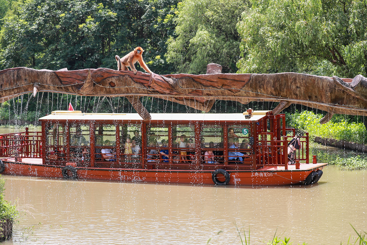 上海野生动物园 水域探秘游船,马蜂窝自由行 - 马蜂窝自由行