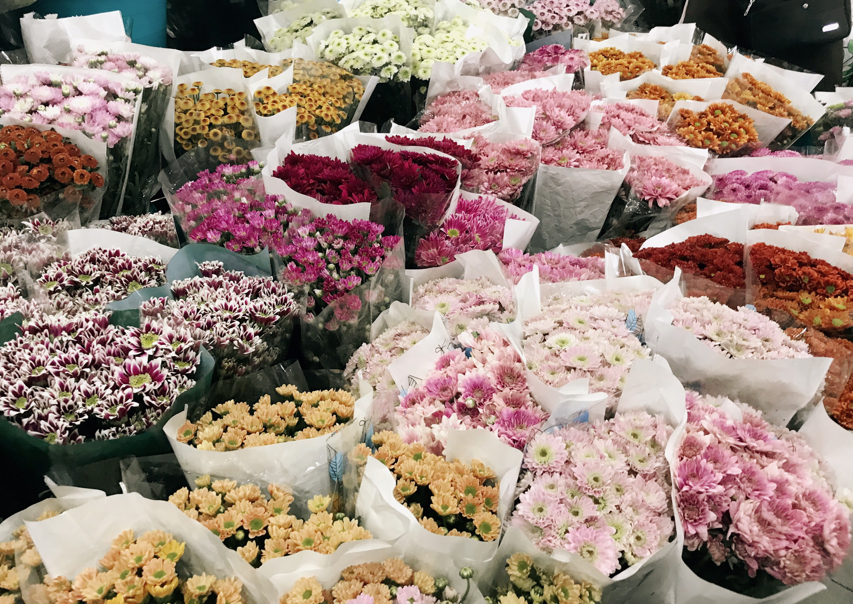 東風國際花卉市場