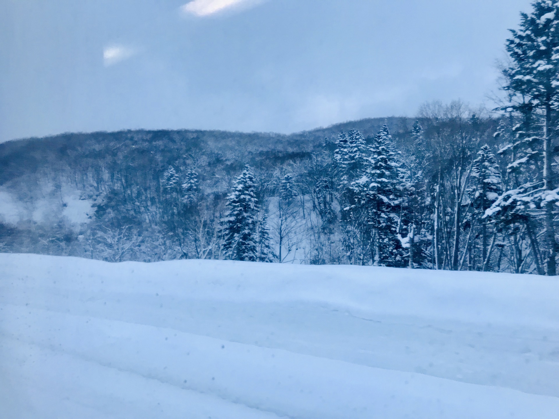 北海道自助遊攻略