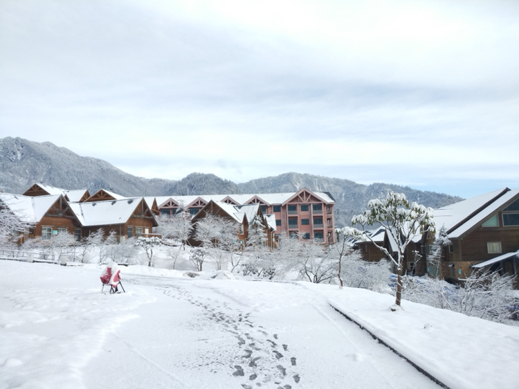 西嶺雪山現在有雪麼可以滑雪麼