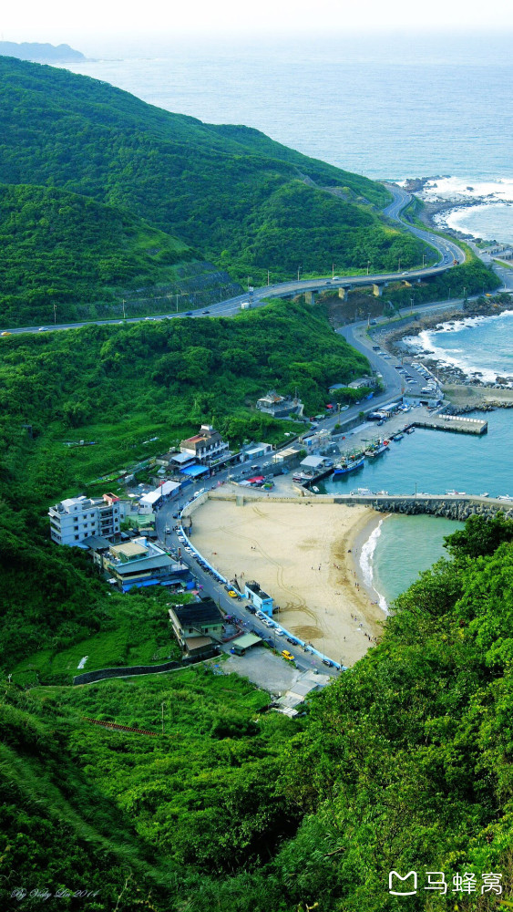 去阳明山竹子湖看海芋花,请问坐什么巴士?