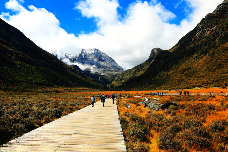 3月西藏旅游看林芝桃花顺便去稻城亚丁游玩,行程好安排吗?