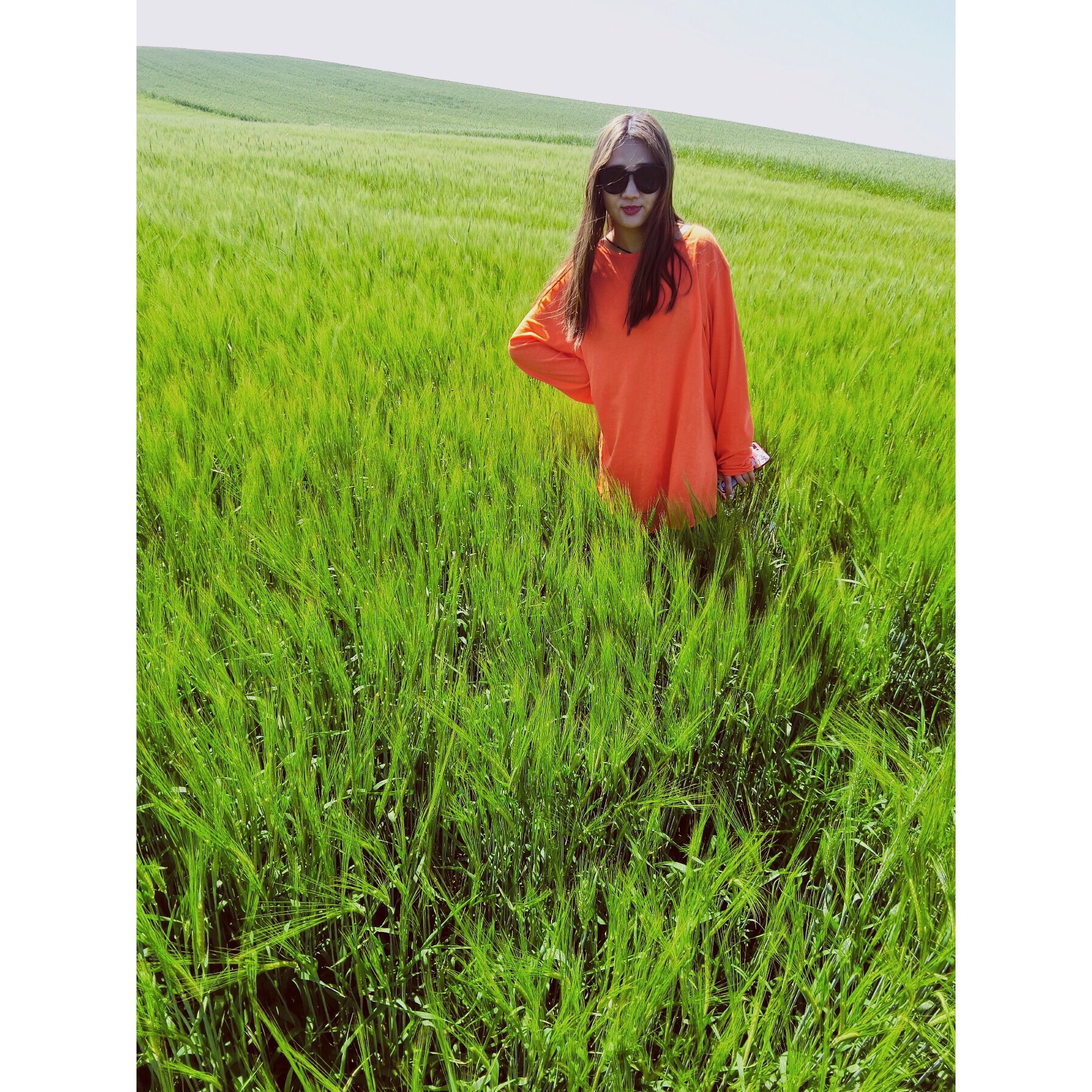 新疆江布拉克自驾一日游—天山麦海 高山难得一见的麦田风光