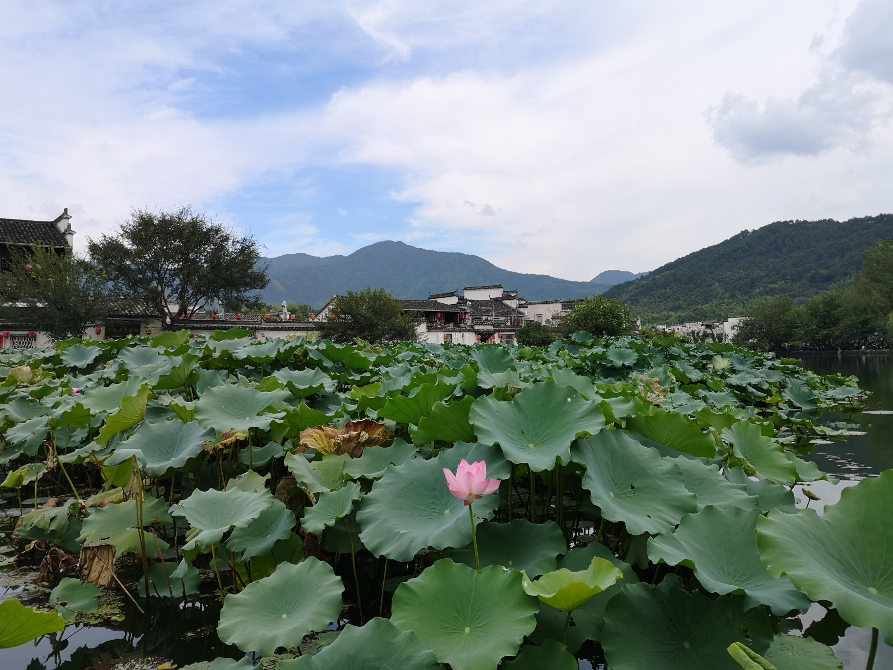 黃山自助遊攻略