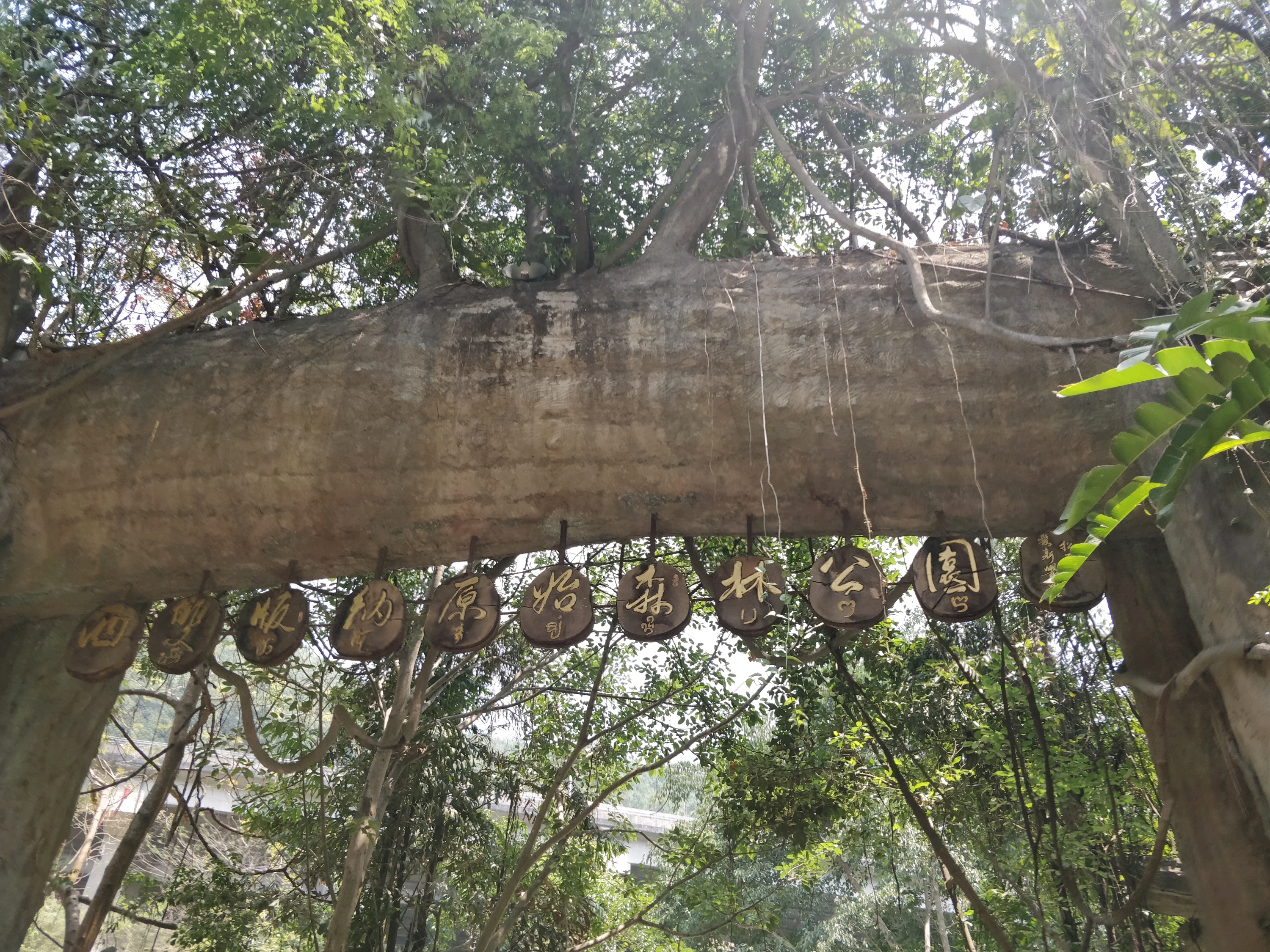 岩罕派正宗傣味餐厅