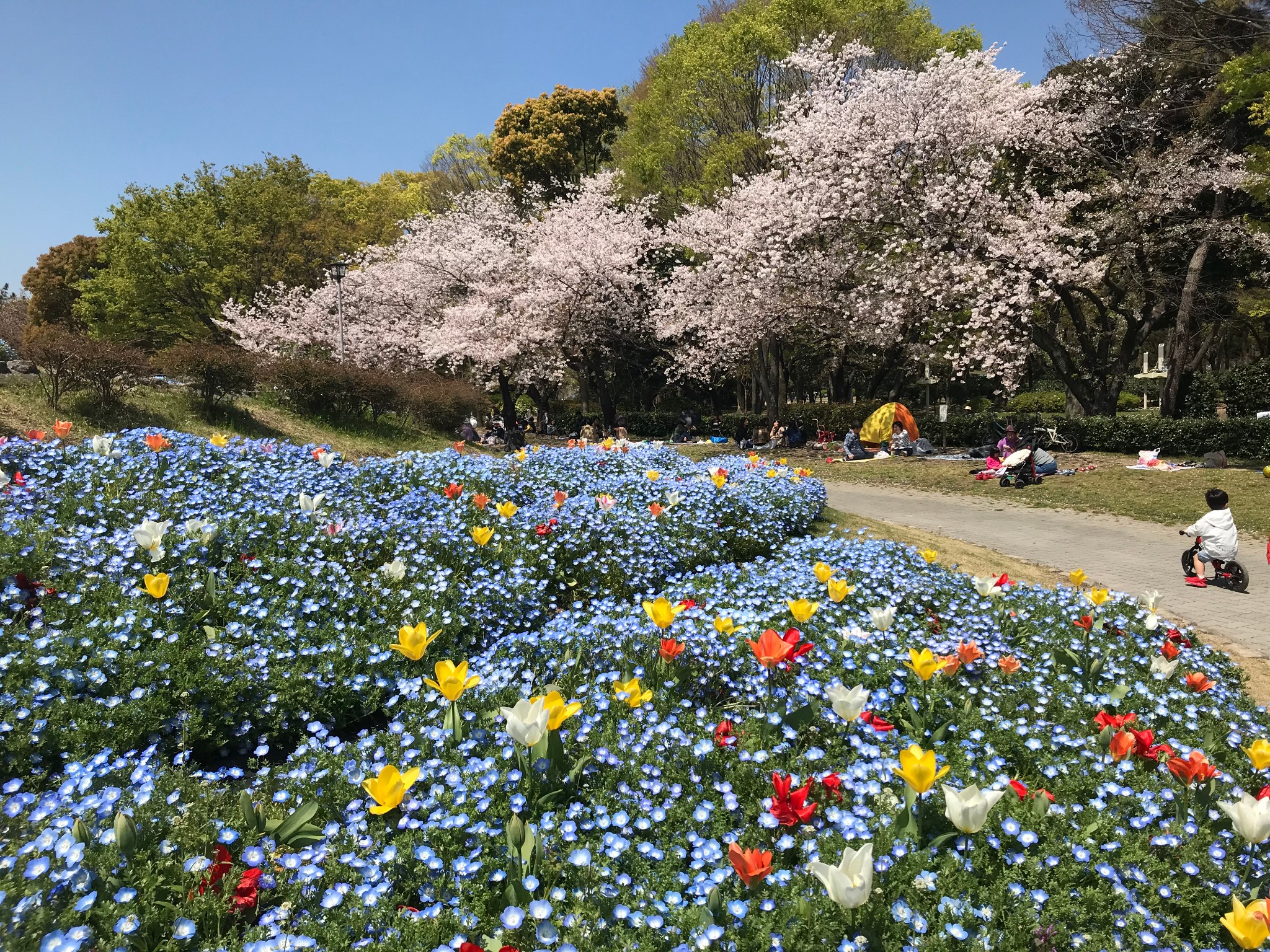 名古屋自助遊攻略