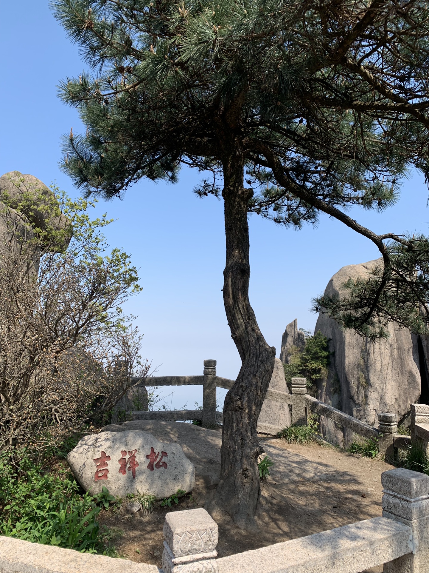 九华山·花台·纯玩一日游(不含礼佛),青阳自助游攻略 - 马蜂窝