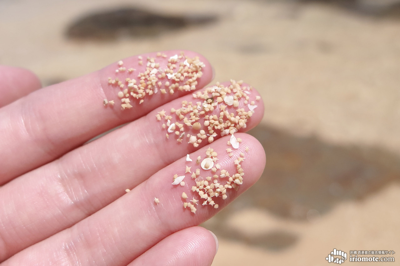 塞班岛行前必看攻略!上天入地下海,只为追寻那一抹蓝