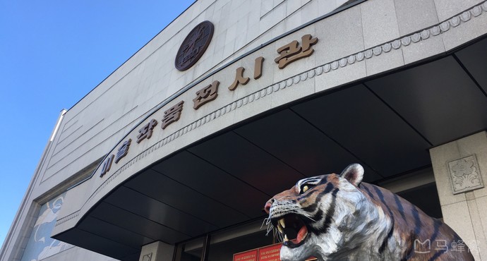 平壤万寿台创作社点评,万寿台创作社地址_评价,平壤购物 - 马蜂窝