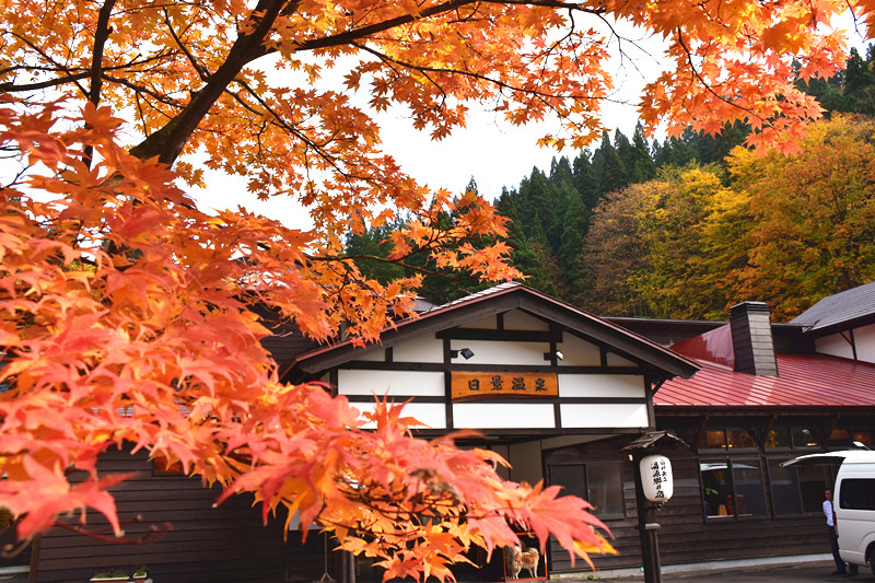 和烟秋色霜叶红 在秋田县,变身秋田美人,秋田市自助游攻略 - 马蜂窝