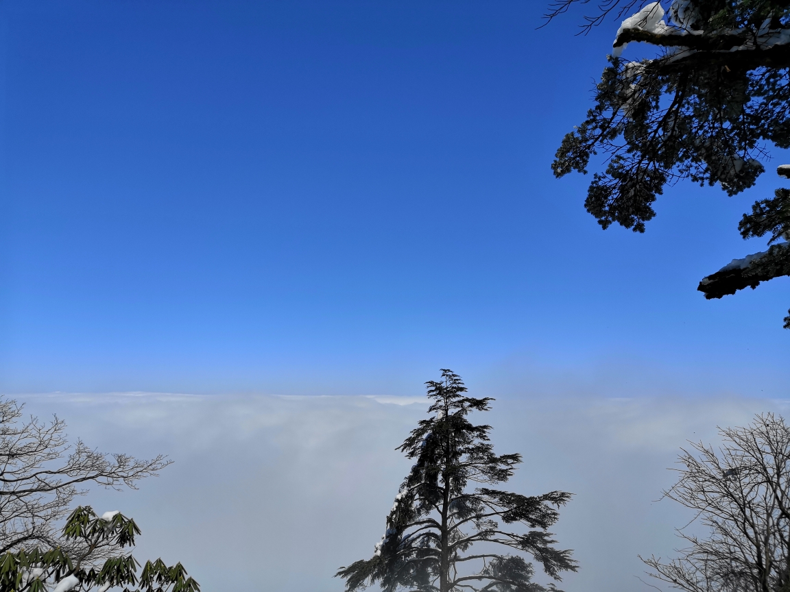 峨眉山找虐,峨眉山市旅遊攻略 - 馬蜂窩