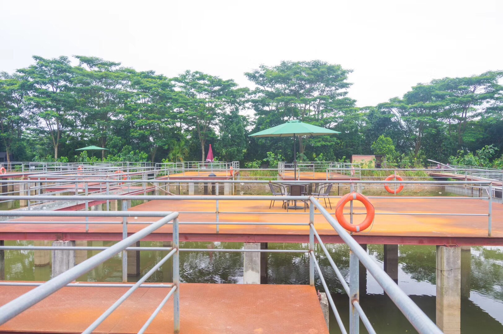 东莞东坑喜悦之乡生态园路亚钓鱼场