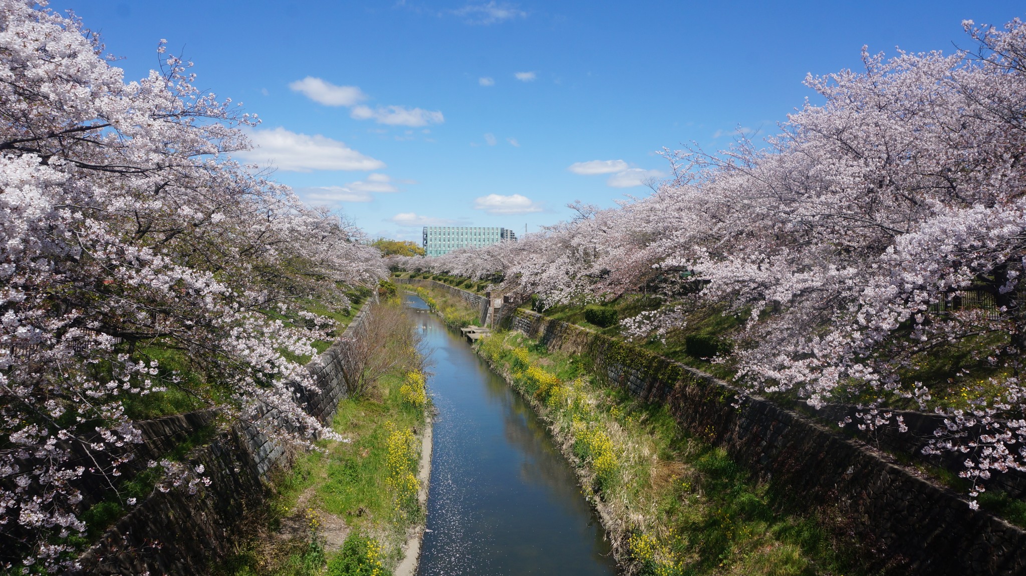 名古屋自助遊攻略