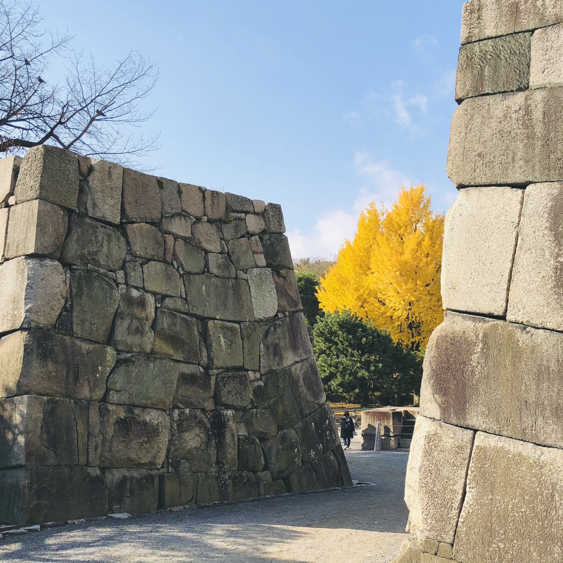 京都自助遊攻略