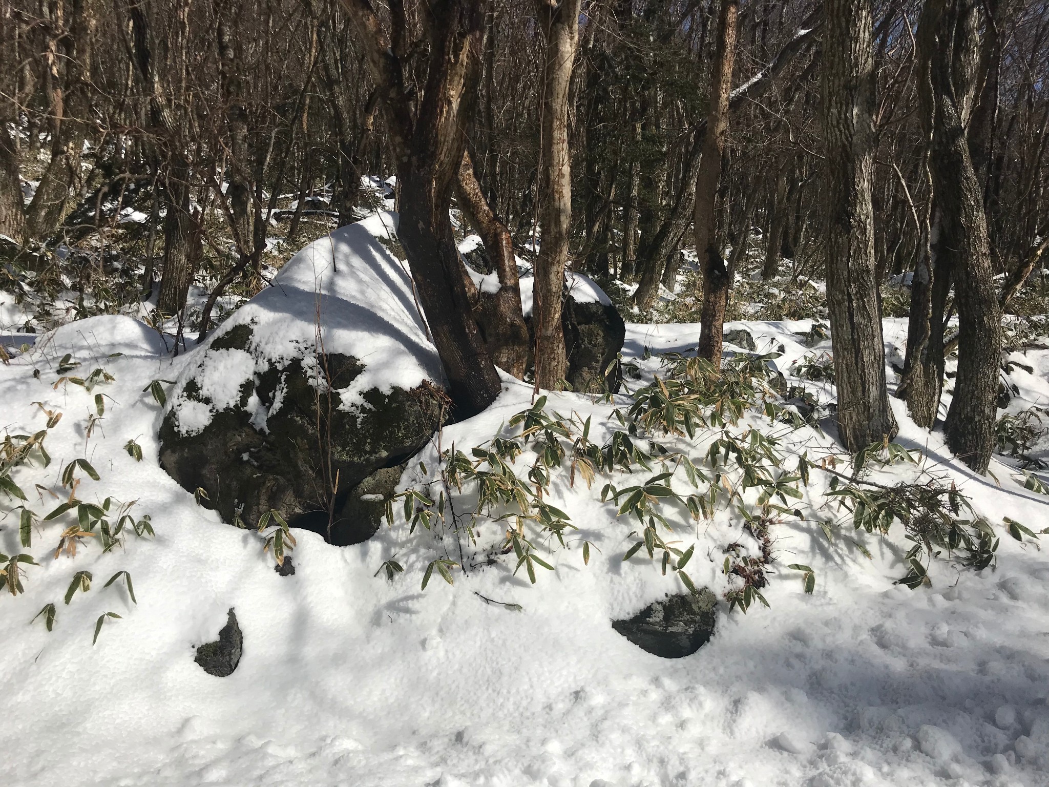 濟州島自助遊攻略