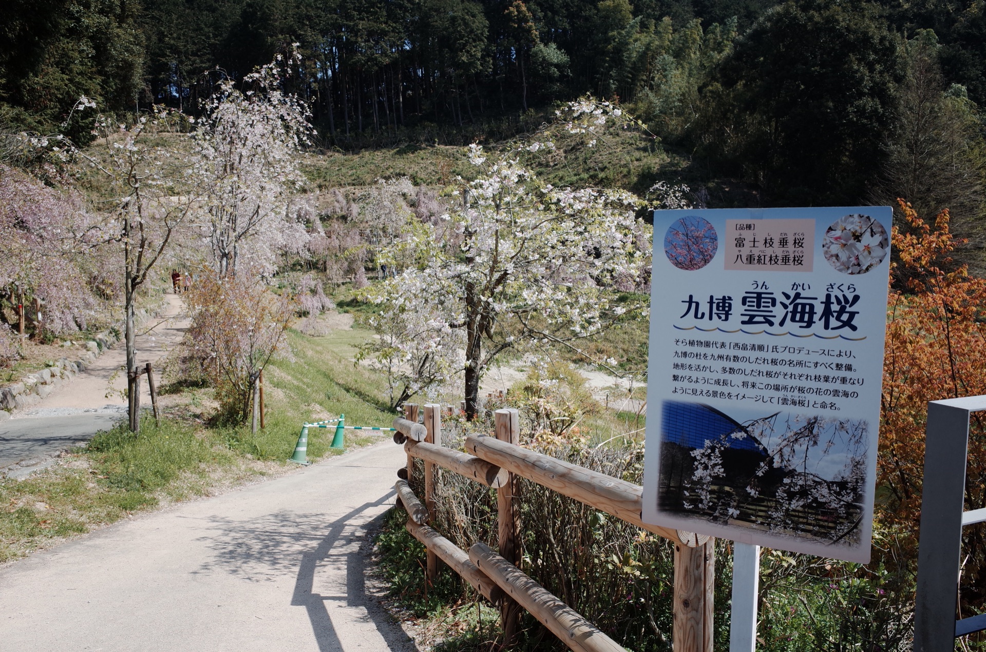 福岡自助遊攻略