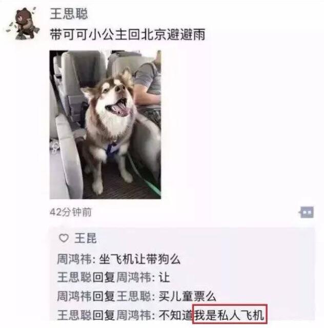 听说南航允许精神抚慰犬上飞机 不托运了 会带来麻烦吗 你支持吗 马蜂窝