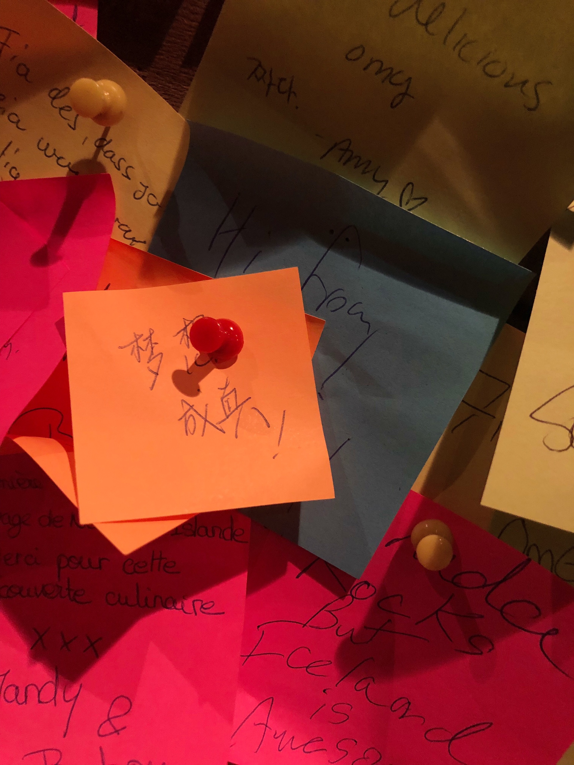 雷克雅未克美食-Fiskfélagid - Fish Company