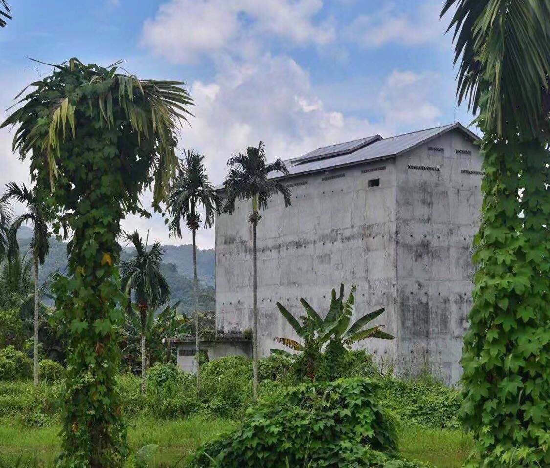 印尼加里曼丹之坤甸,山口洋,sintang原始森林之旅