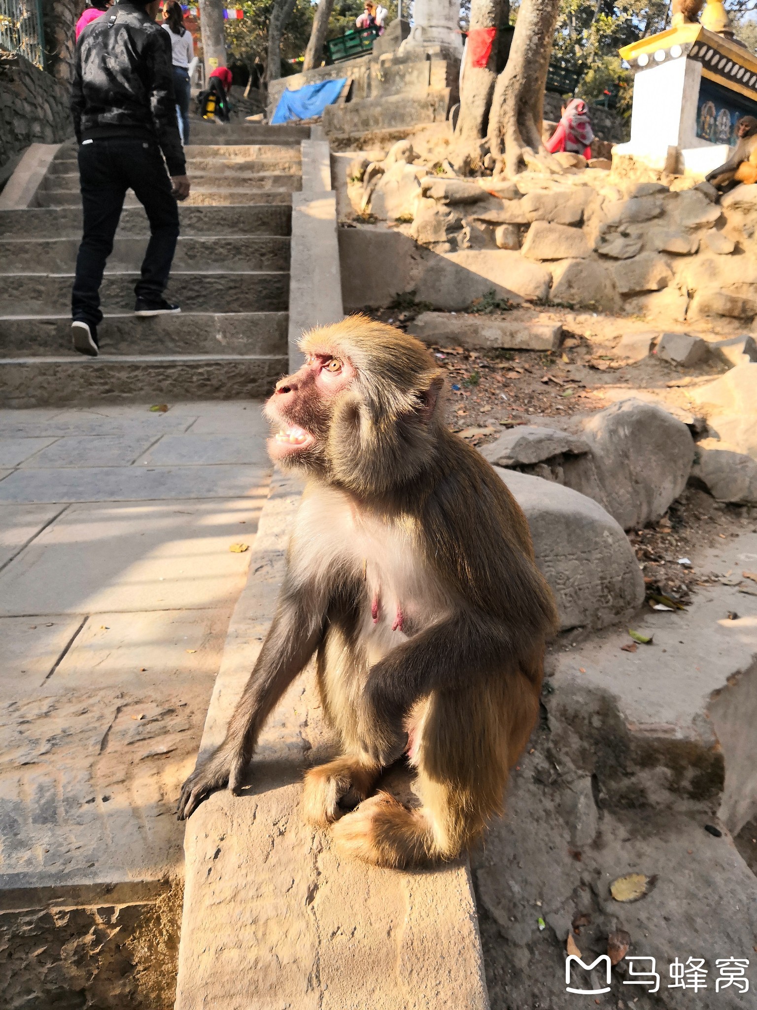 尼泊爾自助遊攻略