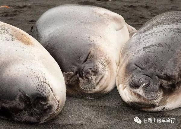 梦幻的紫色沙滩,奢华的赫氏古堡,浪迹在一眼望不到边的海滩,与我们