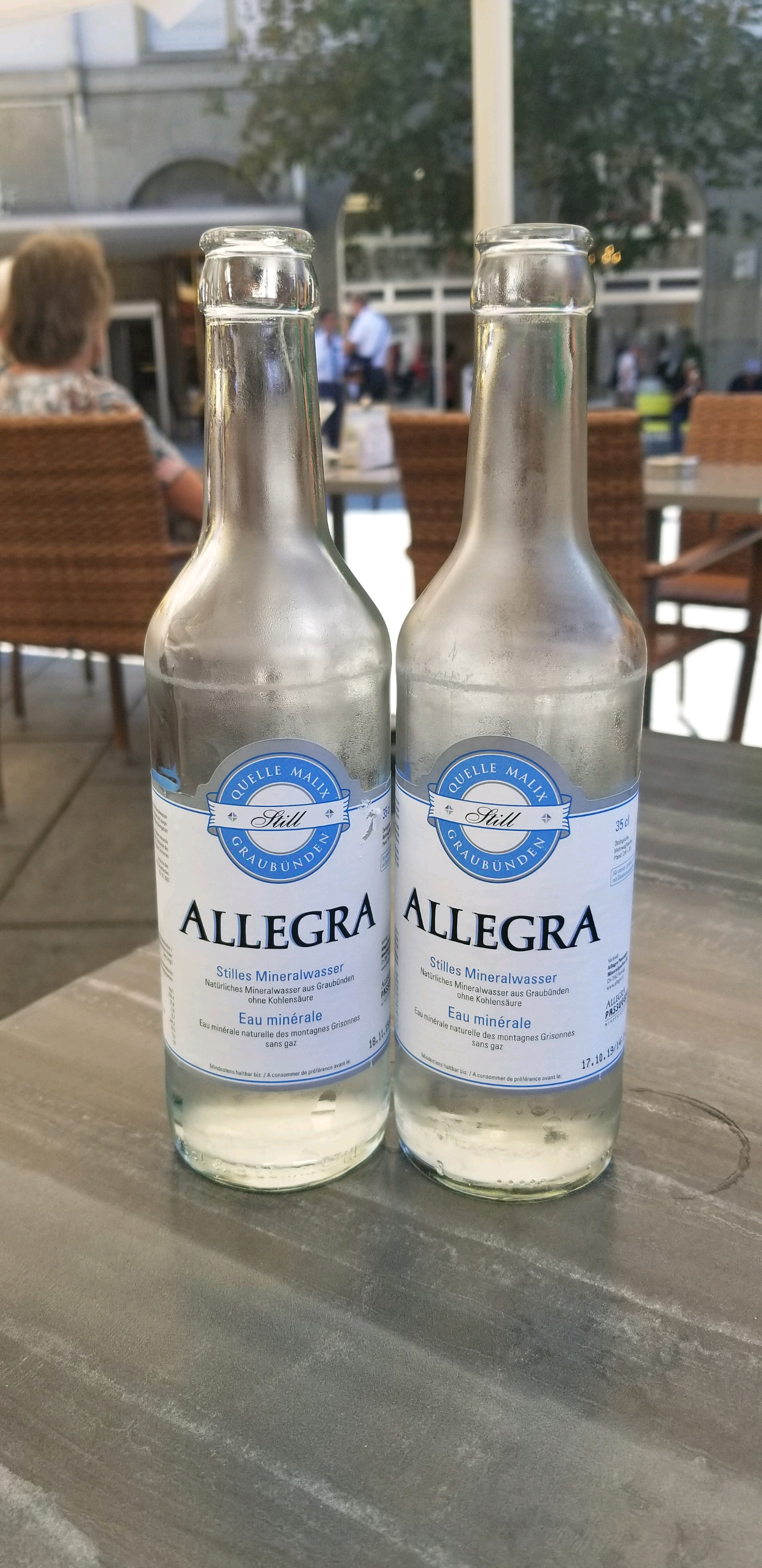 普莱苏尔美食-Ristorante Ticino