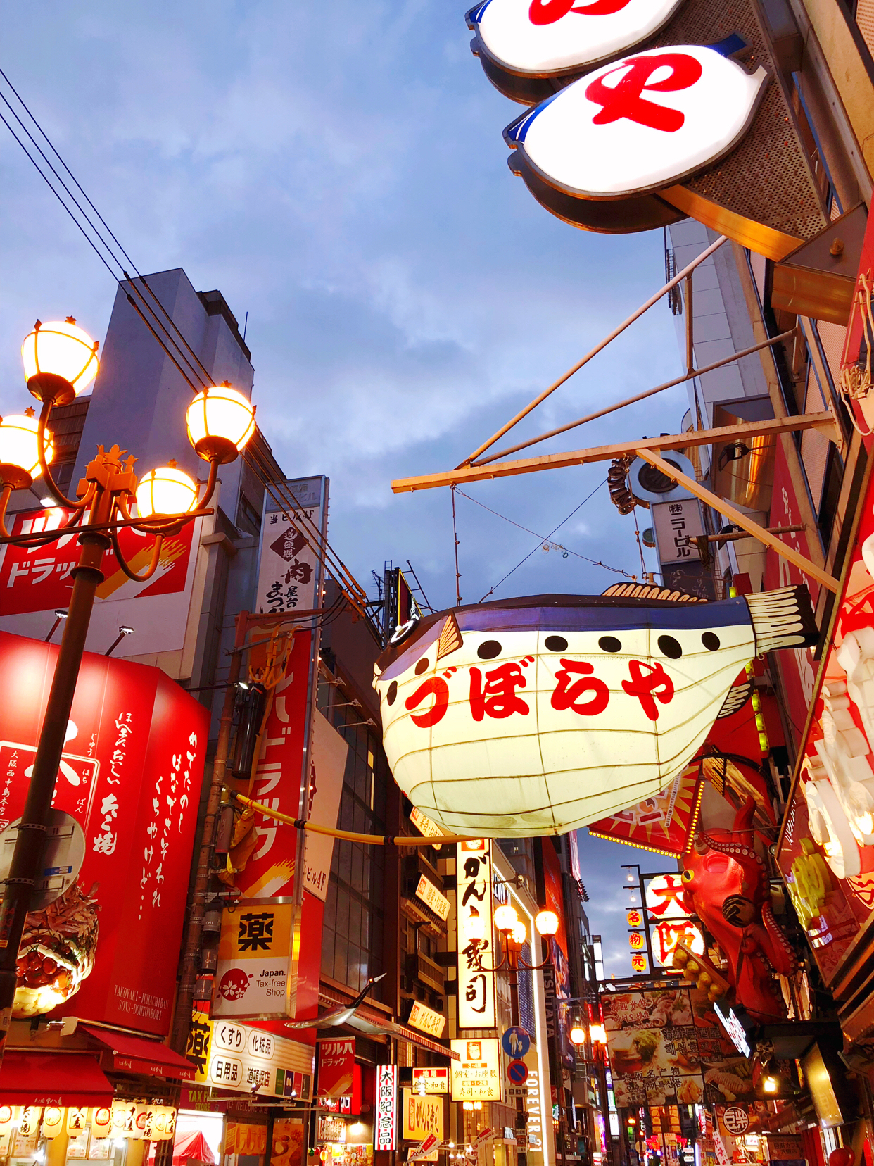 【日本】再探霓虹国,暴走关西(京都,奈良,宇治,大阪)——8天自由行