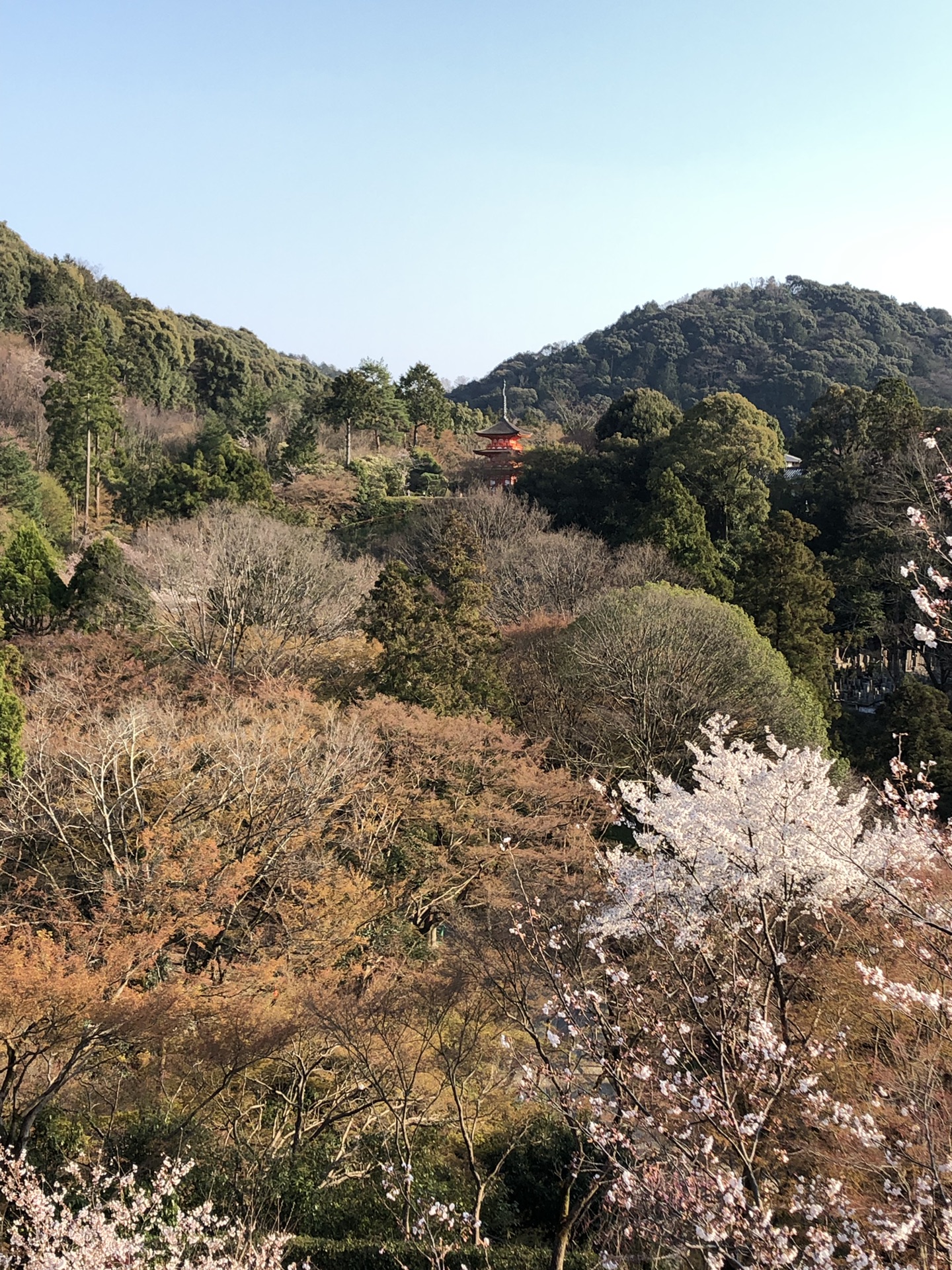 京都自助遊攻略