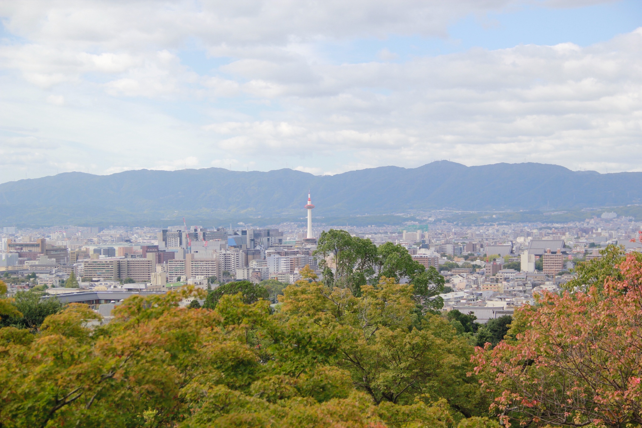 京都自助遊攻略