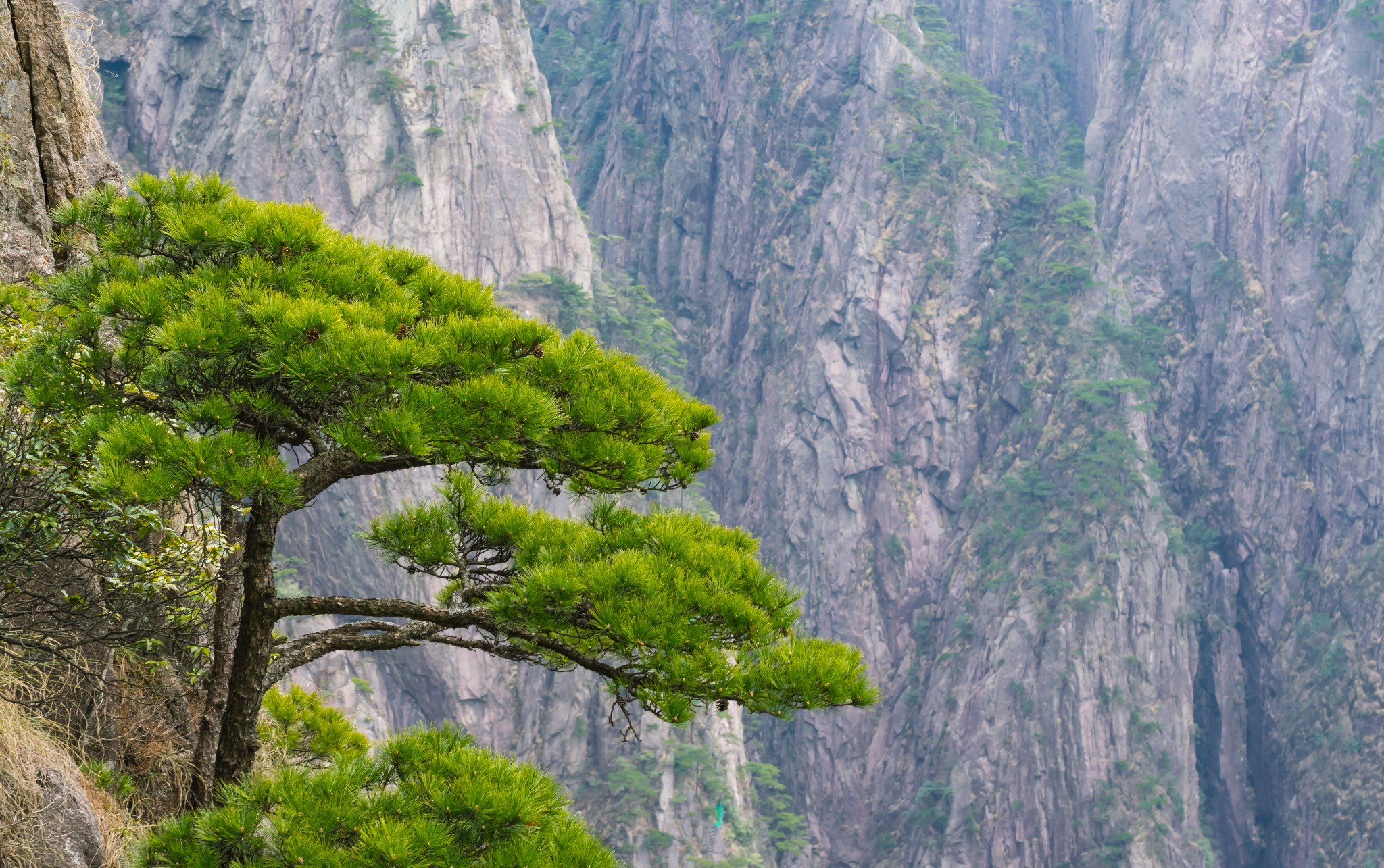 黃山自助遊攻略