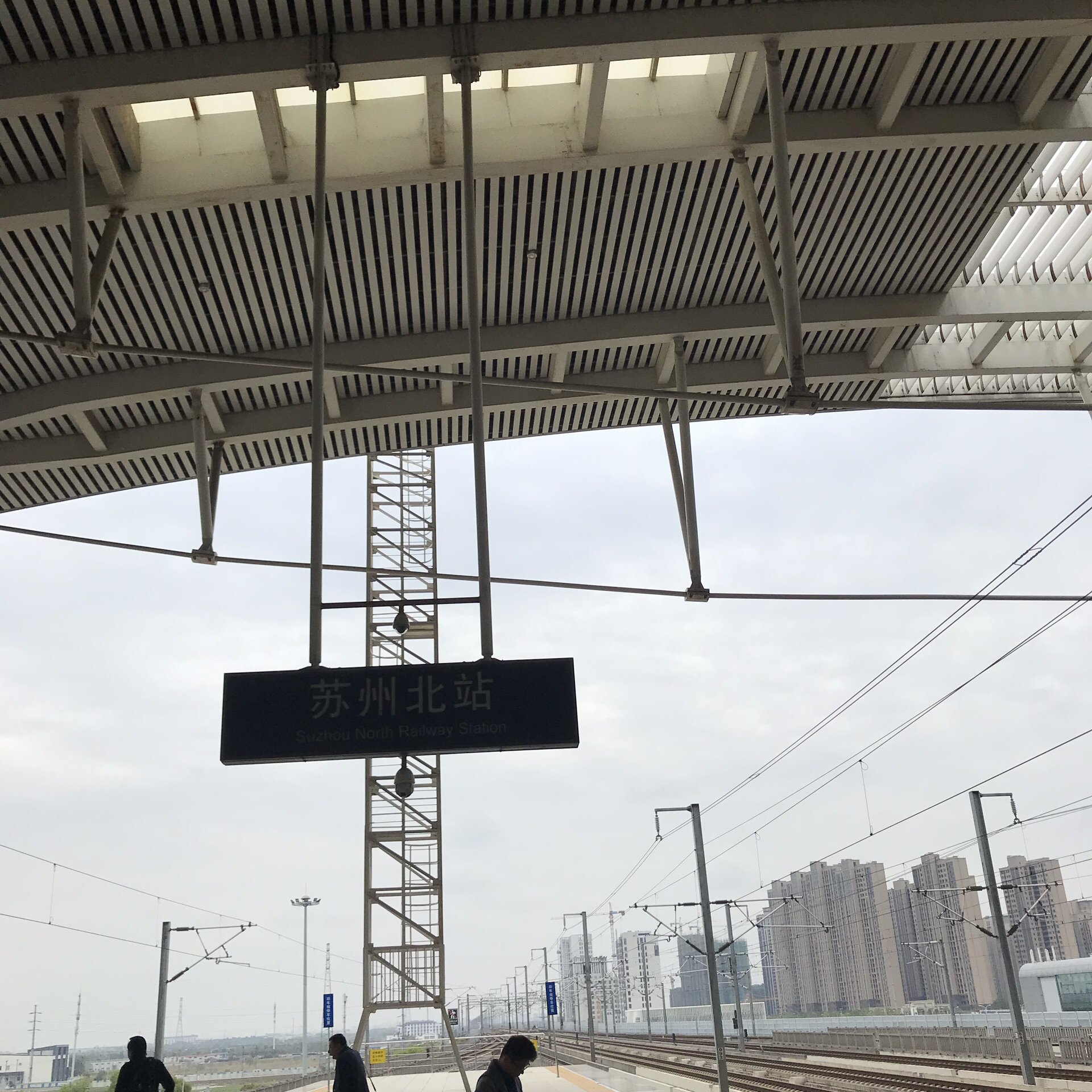 阳澄湖大闸蟹(平江路店)