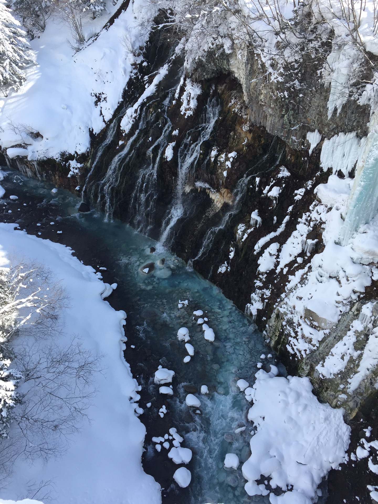 北海道自助遊攻略