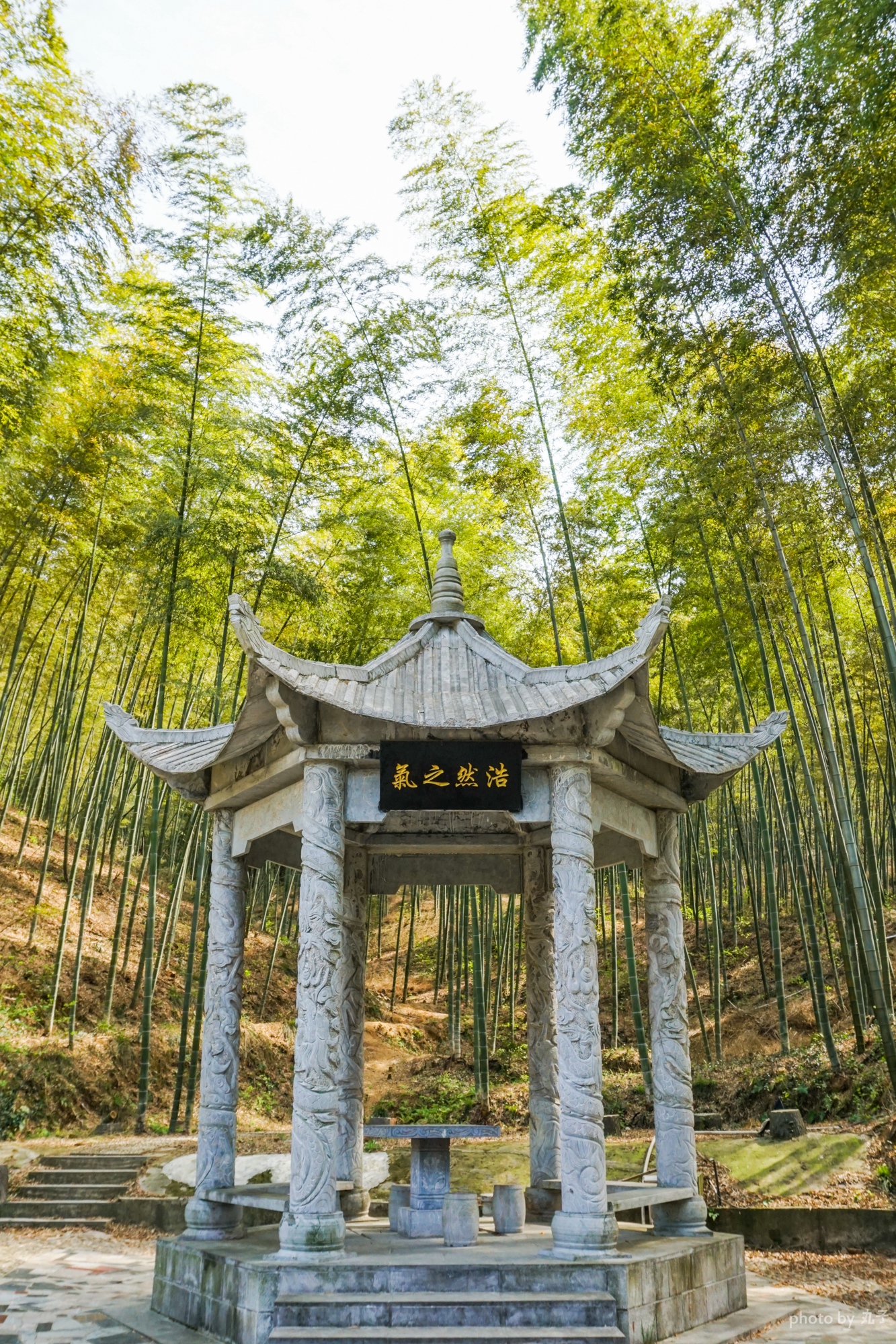 东庵森林公园合肥的世外桃源人少景美还免费城市周边去踏青
