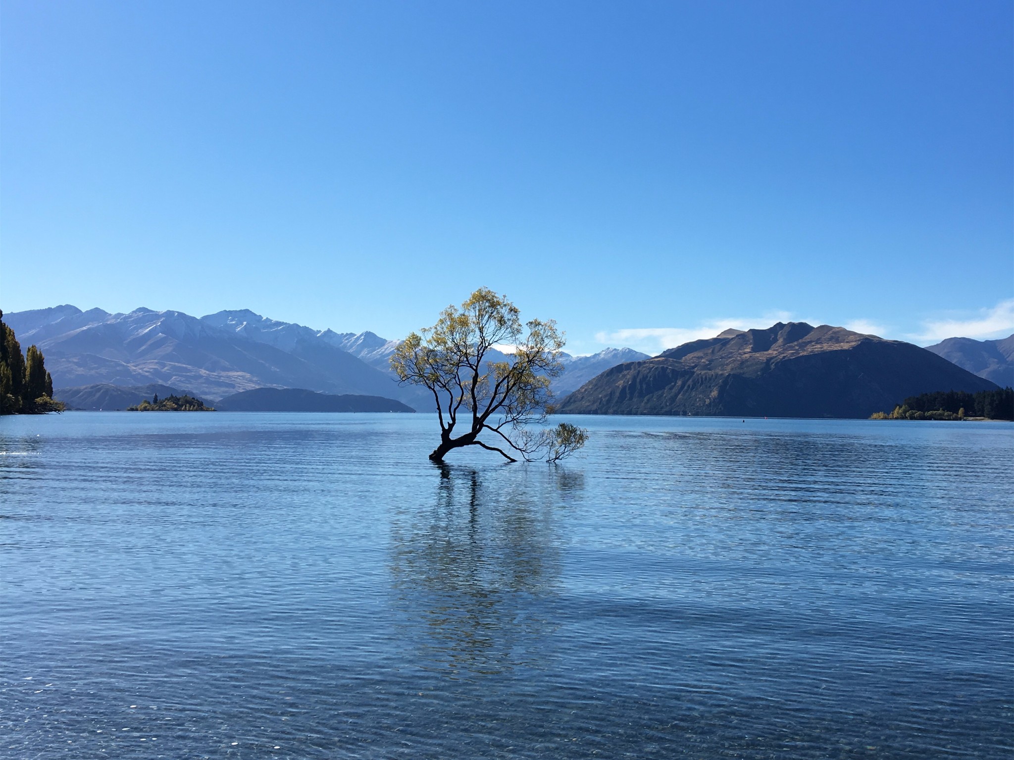 【瓦納卡景點圖片】lake wanaka cruises