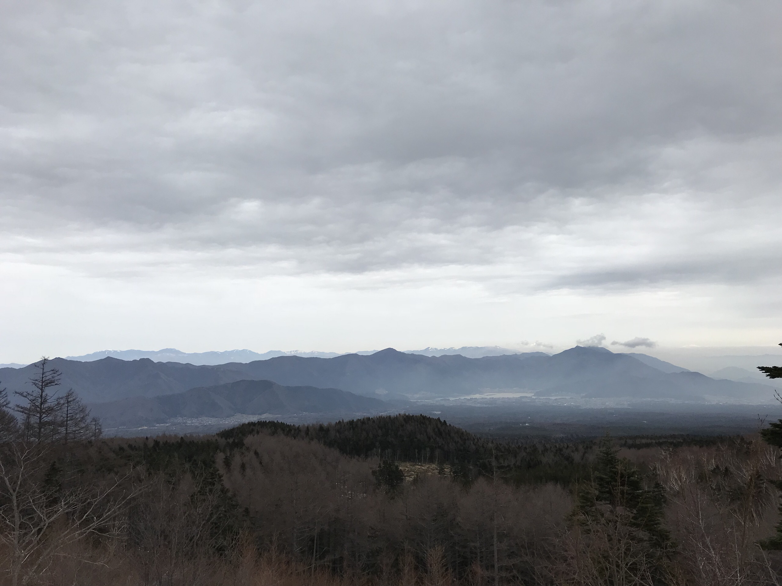 Narusawa's Tree Form Lava