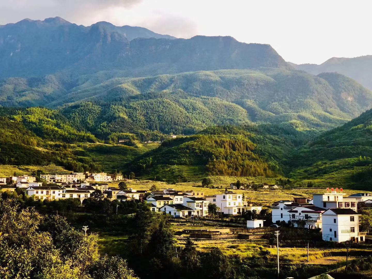 羅霄山脈的北支—江西萍鄉武功山_遊記