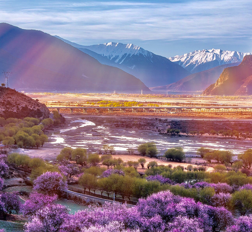 赴一场雪山为伴的桃花盛宴——林芝赏桃花经典路线指南