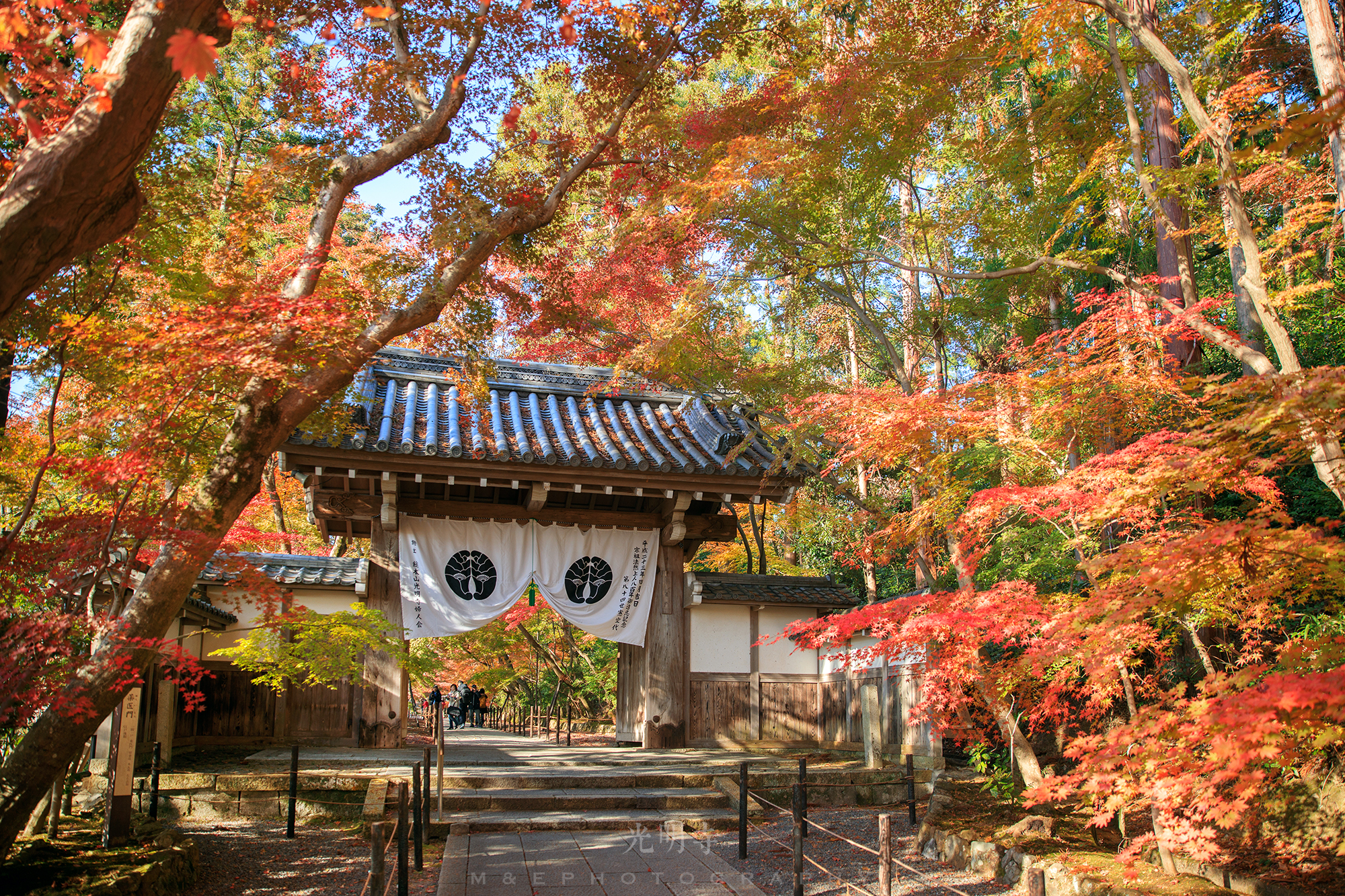 京都自助遊攻略