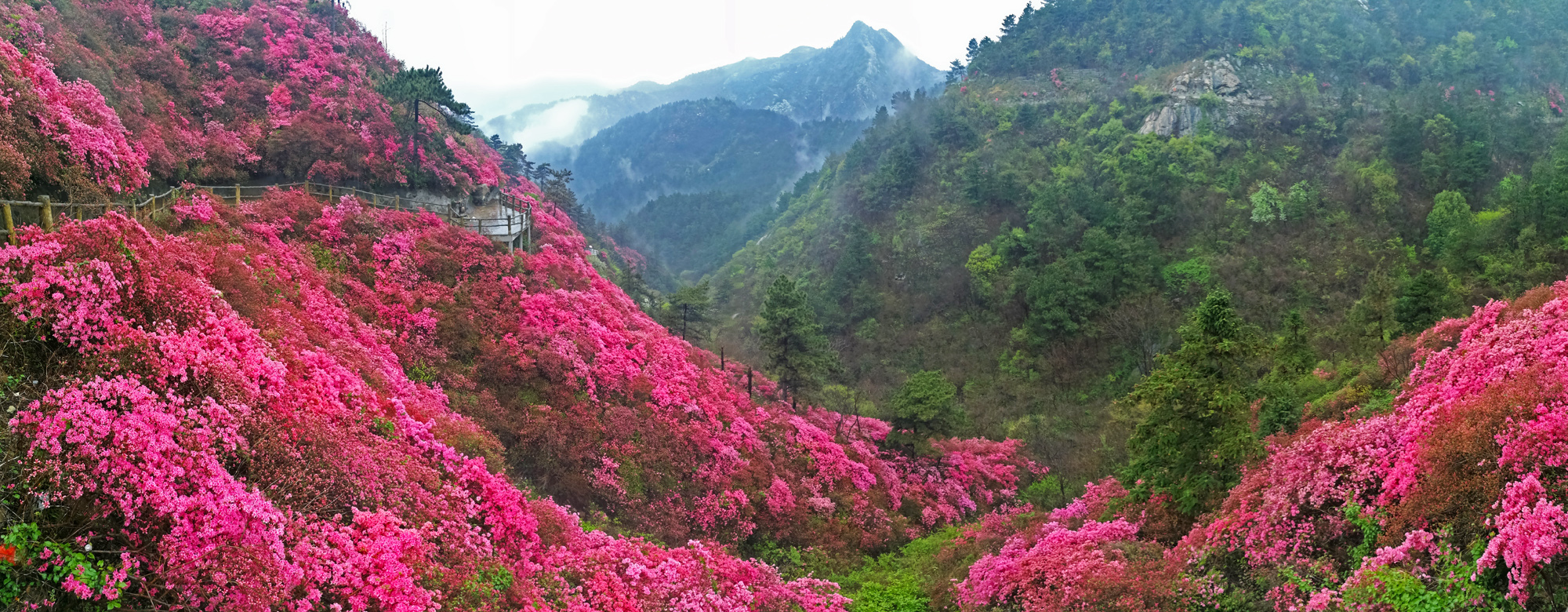 武汉木兰云雾山,是何美景让三十万人趋之若鹜,天天爆满?