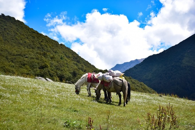 姑娘山在哪里的位置_姑娘山歌曲原唱_四姑娘山