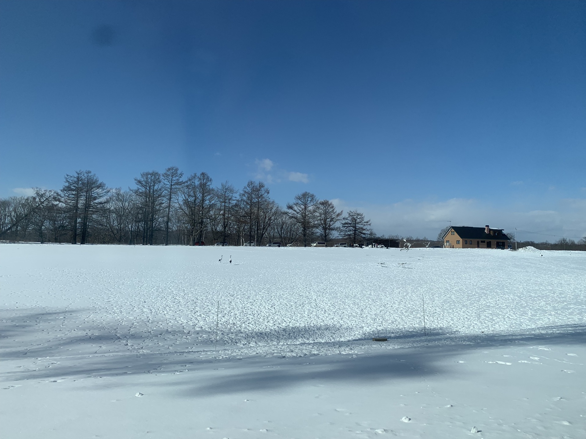 北海道自助遊攻略
