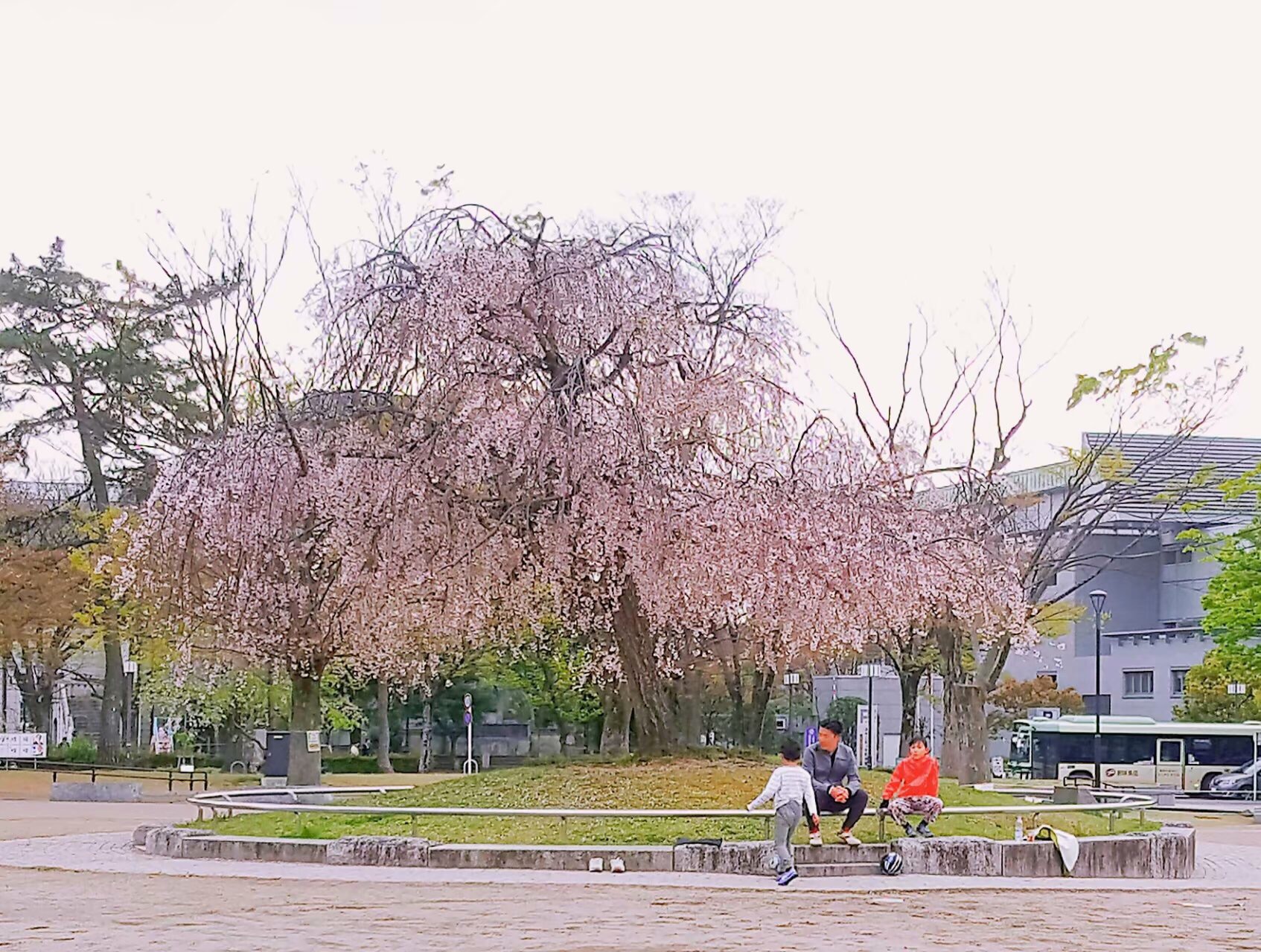 京都自助遊攻略