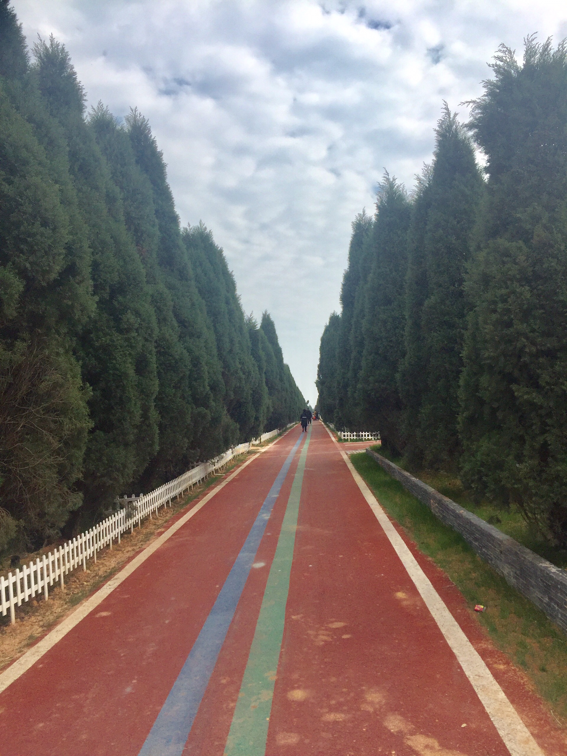 葡萄牙美食-Pastelarias Favorita