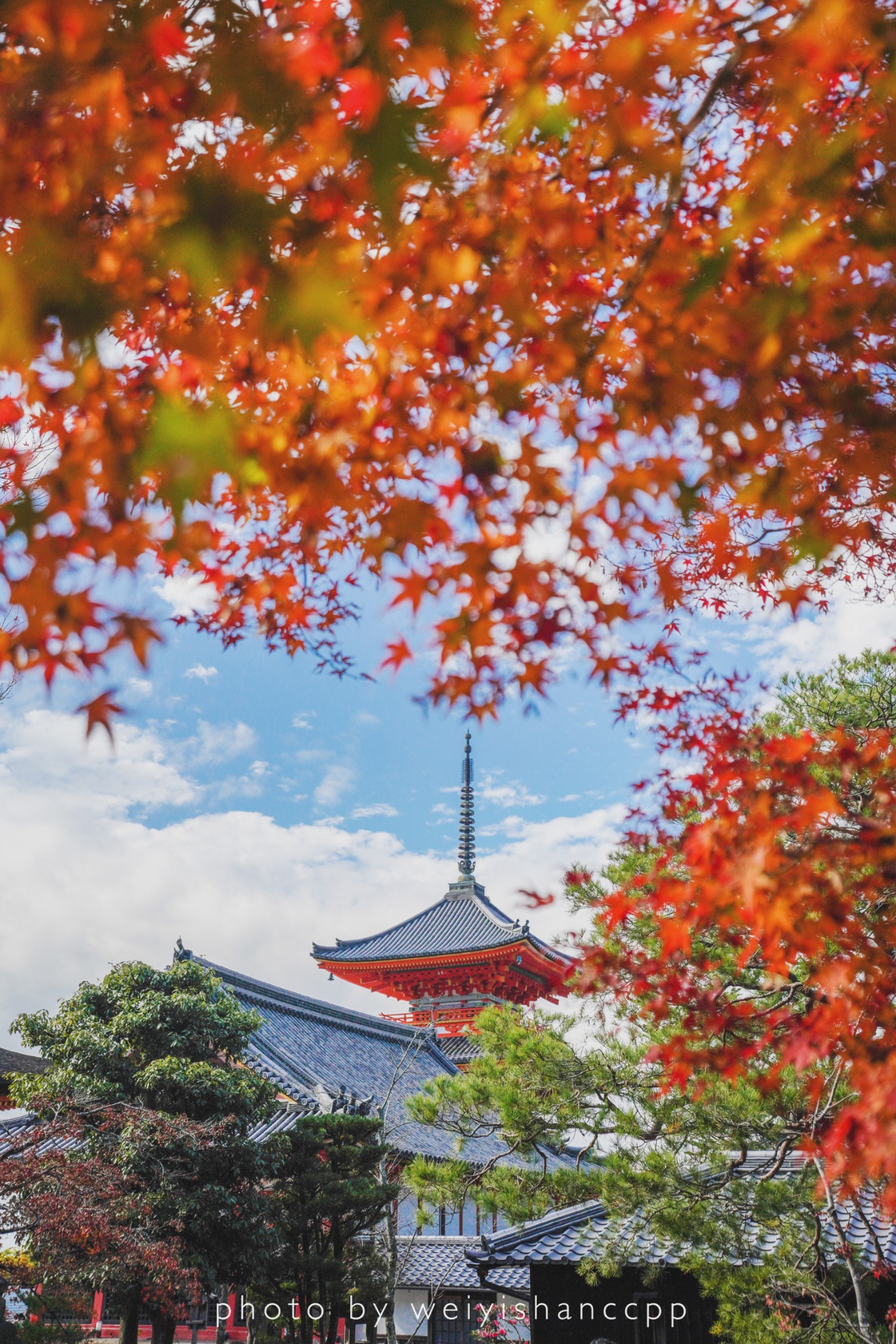 京都自助遊攻略