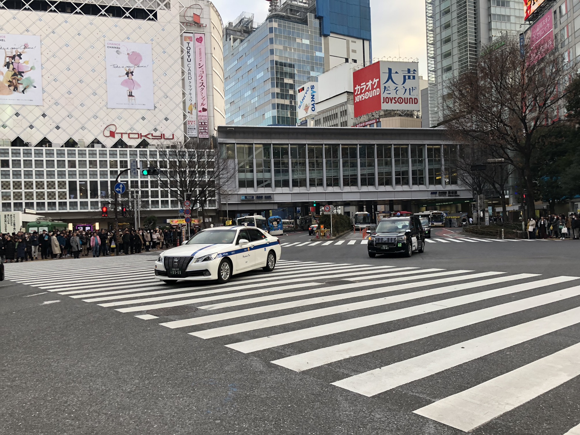 東京自助遊攻略