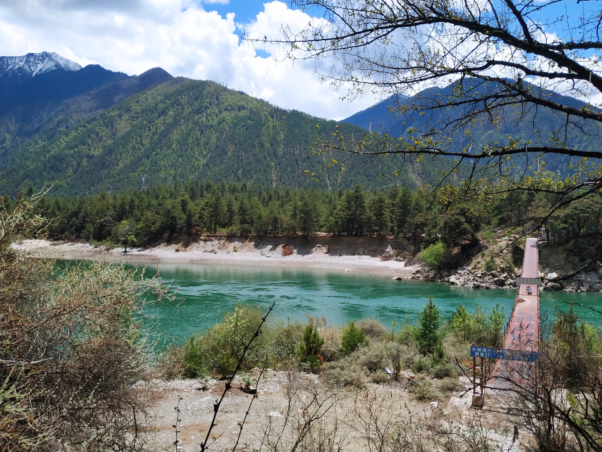 林芝到更张乡尼洋曲河的美景