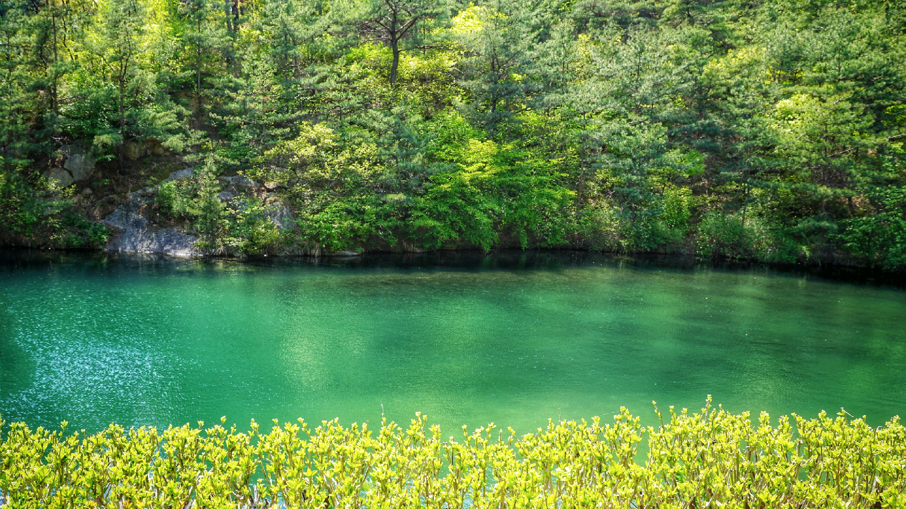 嵩县六龙山风景区门票图片