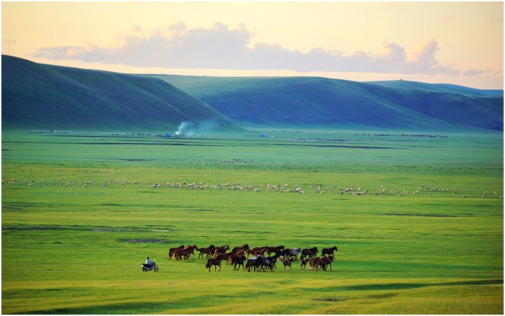 内蒙古呼伦贝尔大草原 大兴安岭5天4晚跟团游( 深圳直飞海拉尔 纯玩无