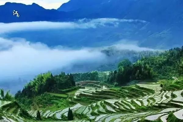 浙江这8个小众旅行地,超适合春天自驾游玩!