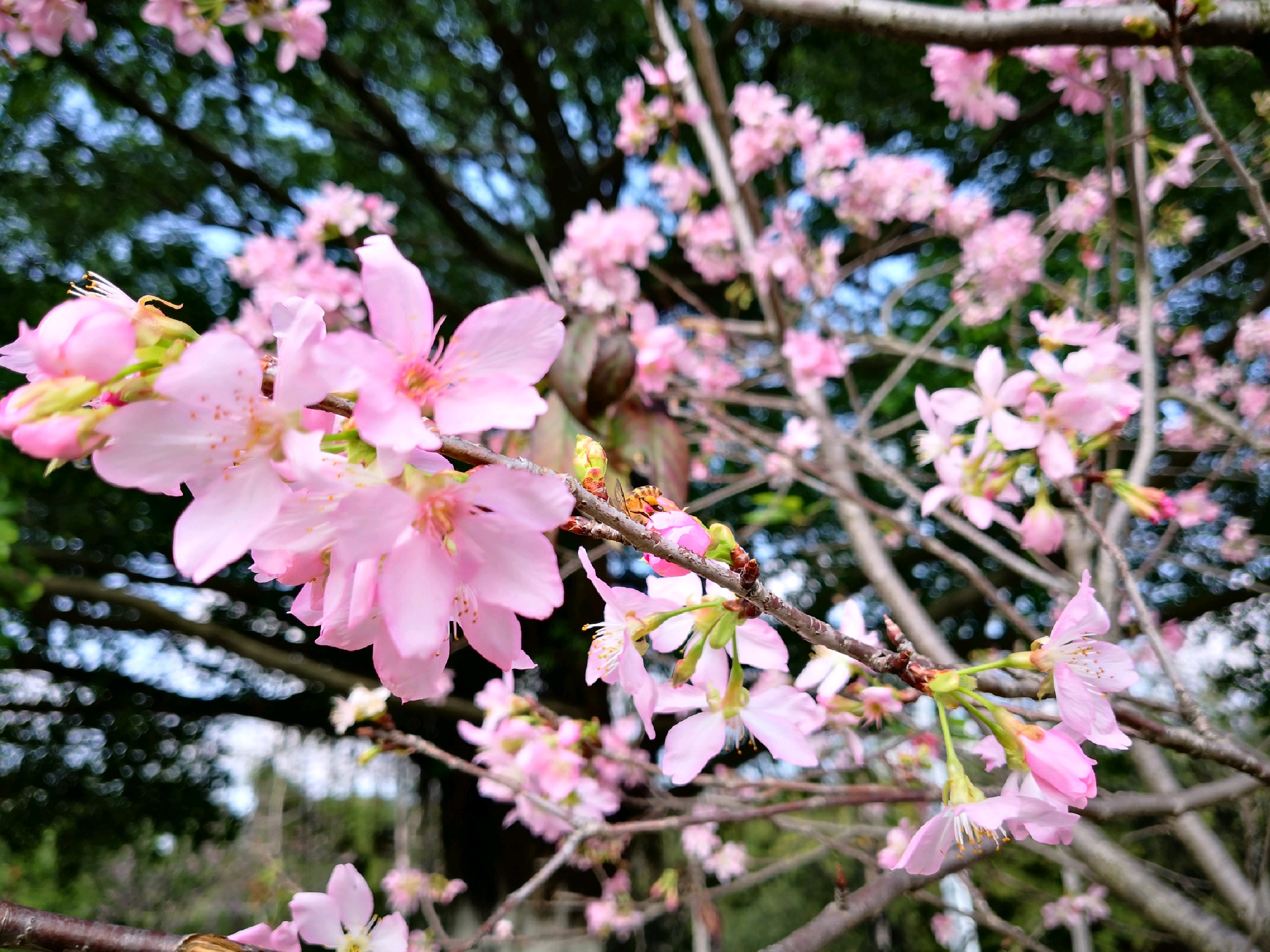 创业公园